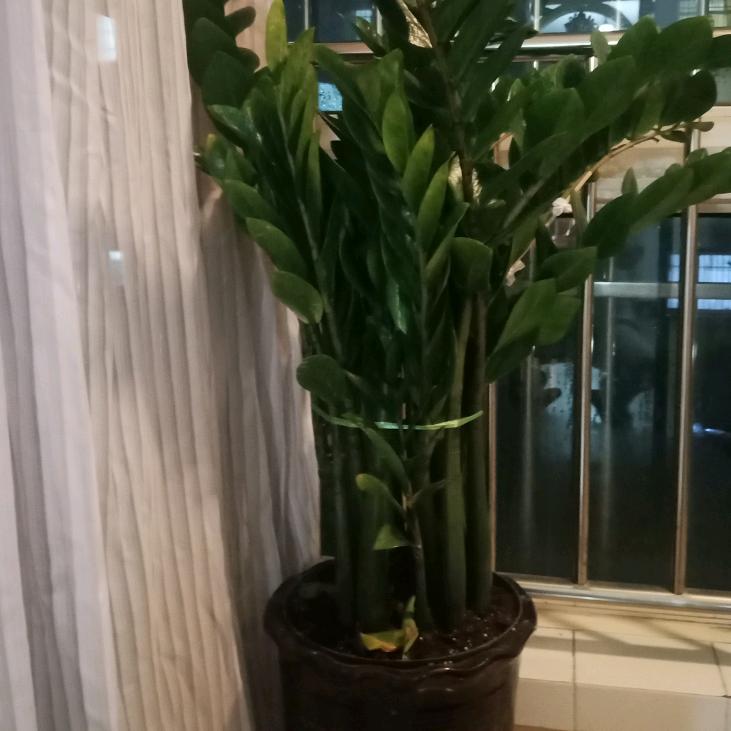 牵挂<拒绝私聊>