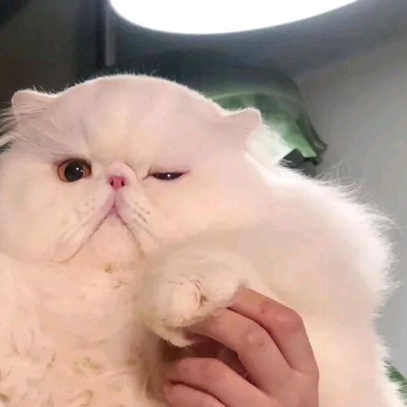 爱是克制