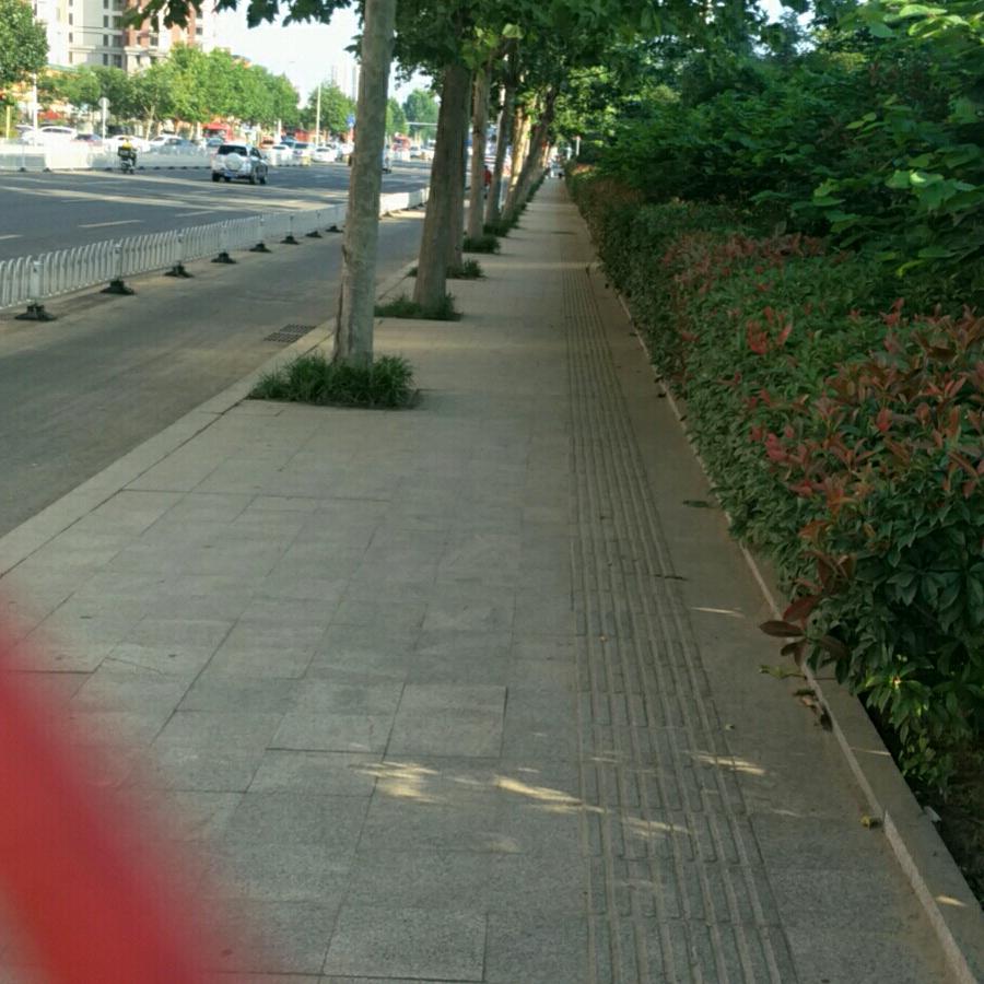 小贾3667