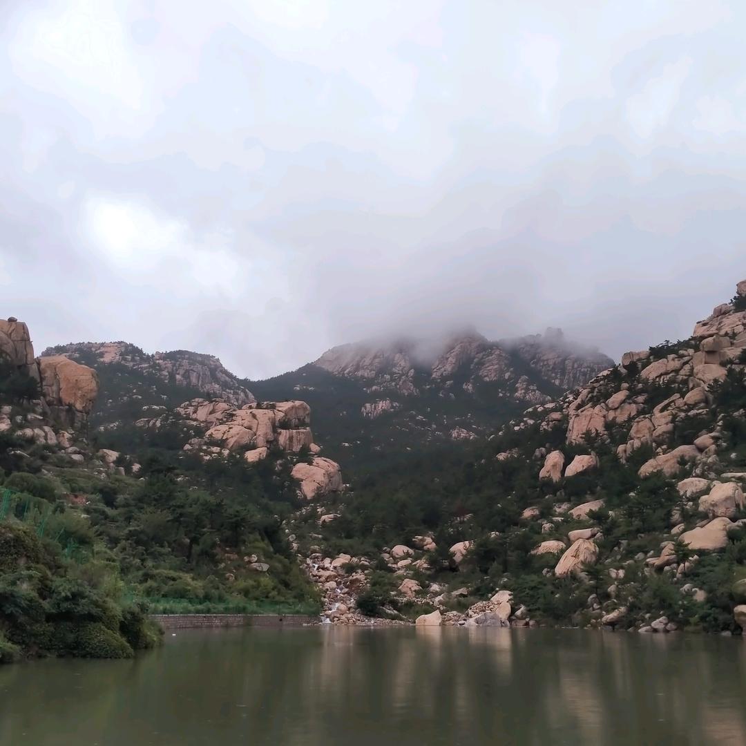 杨海