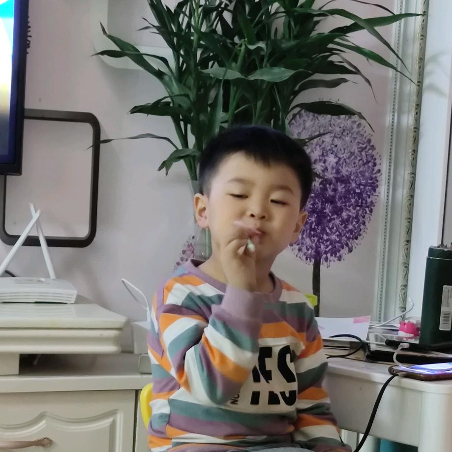 金杨智能