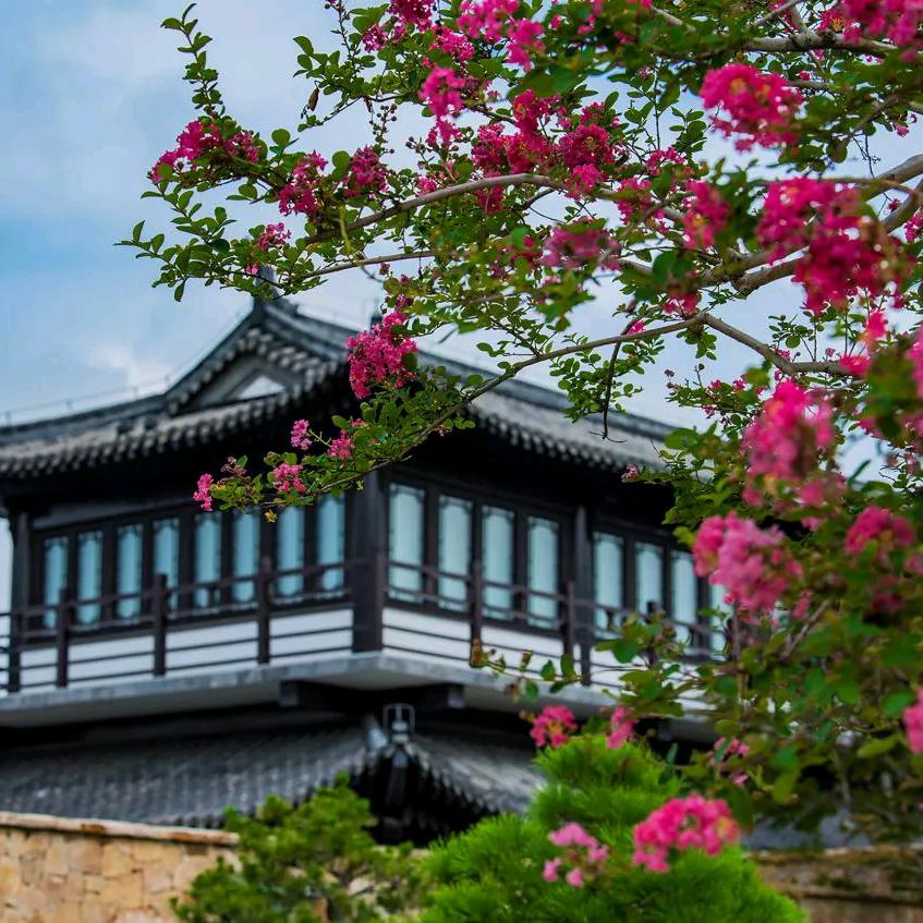 幸福如意Super（泰达装饰)