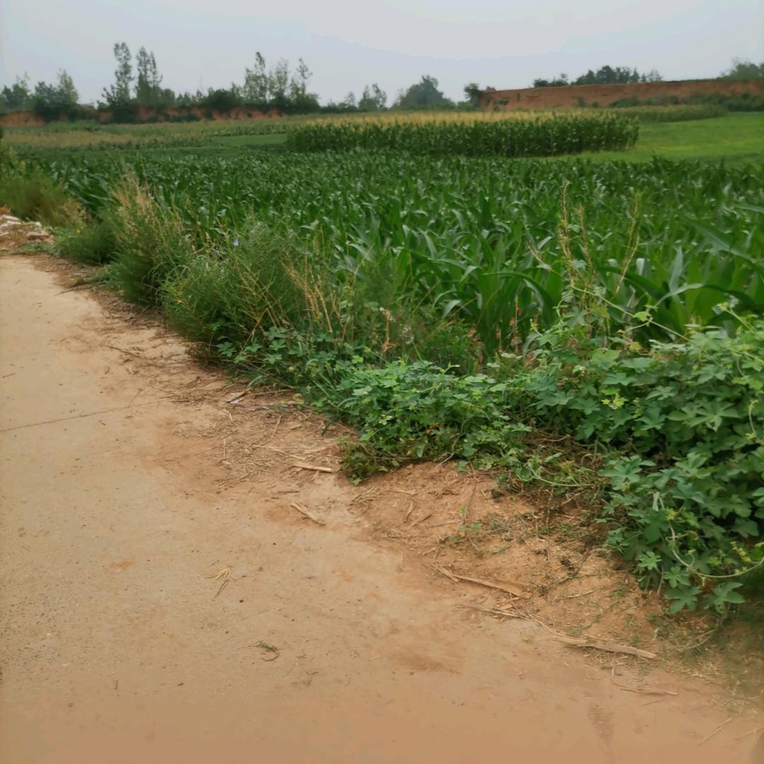 用户3541259075171