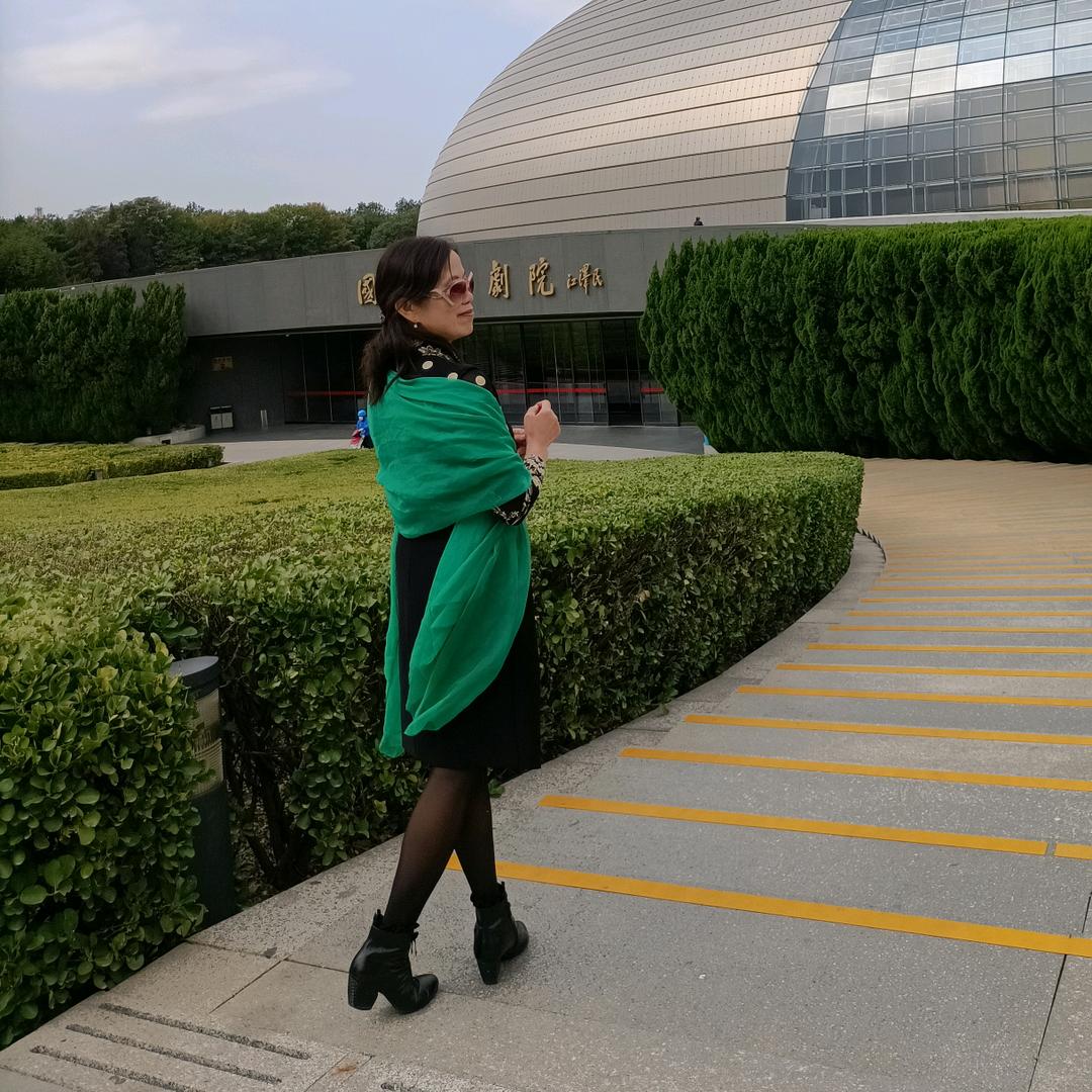 雨中蔷薇（拒私聊)