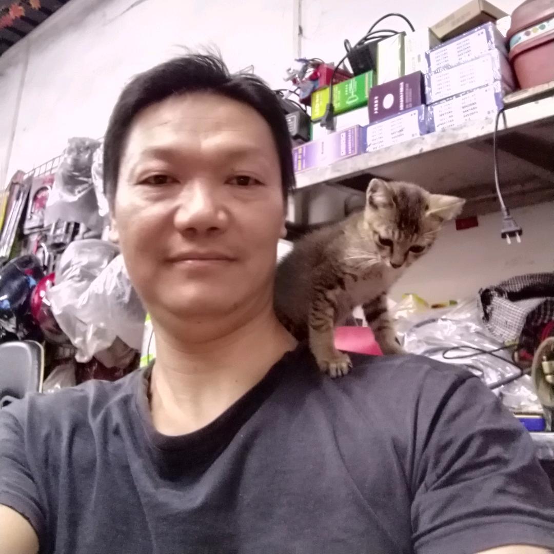 白石诚信二手电动车批发零售