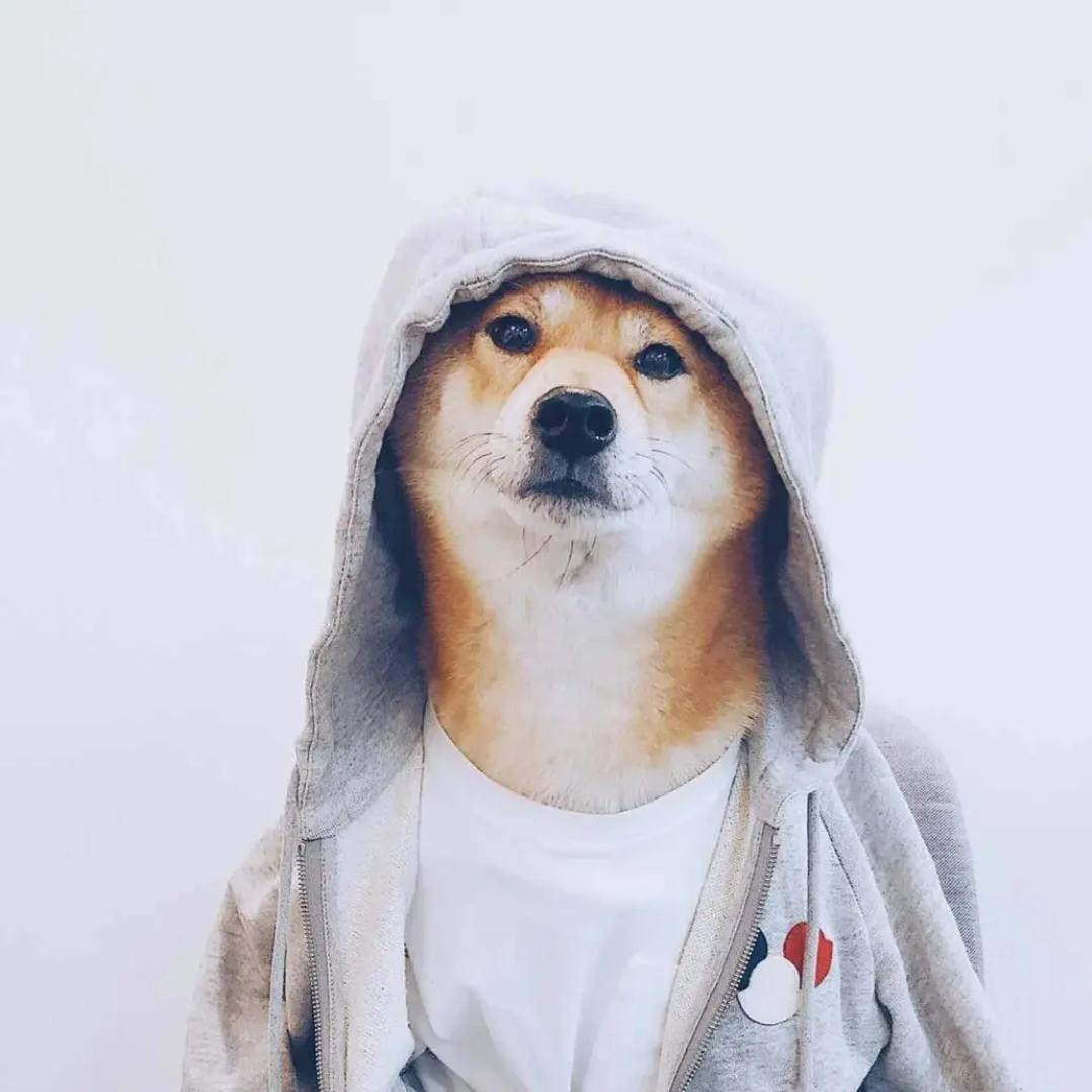 ⊙犯困嫌疑人✔