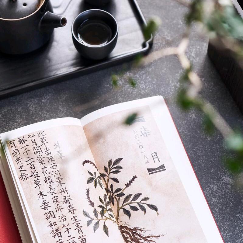 心若自在