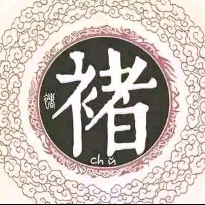 褚