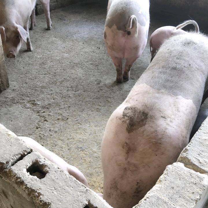 货拉