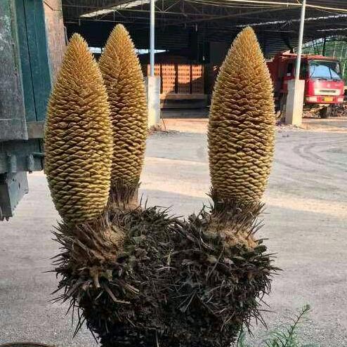 🕊ꦿ郑好ღᩚ有你ꦿ᭄ঞ