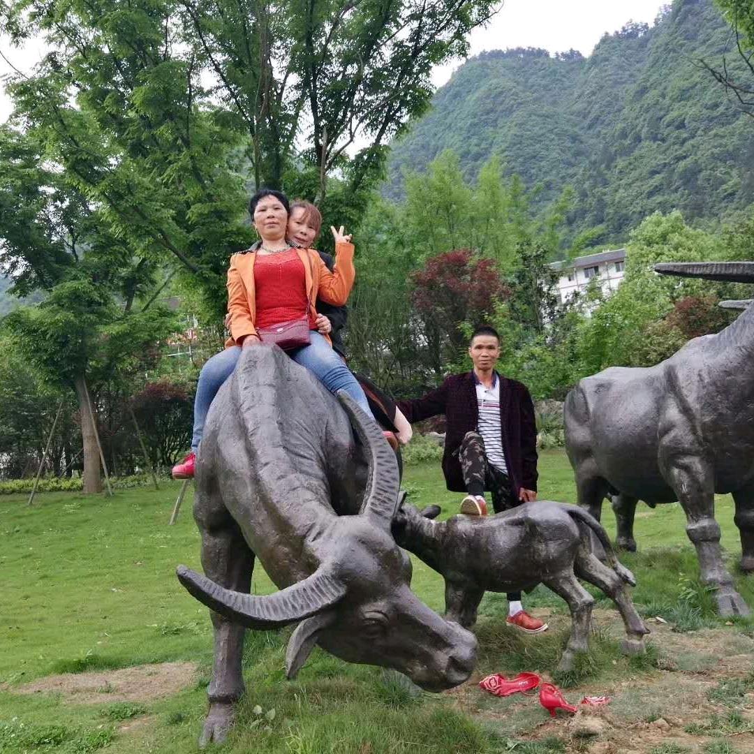一帆风顺