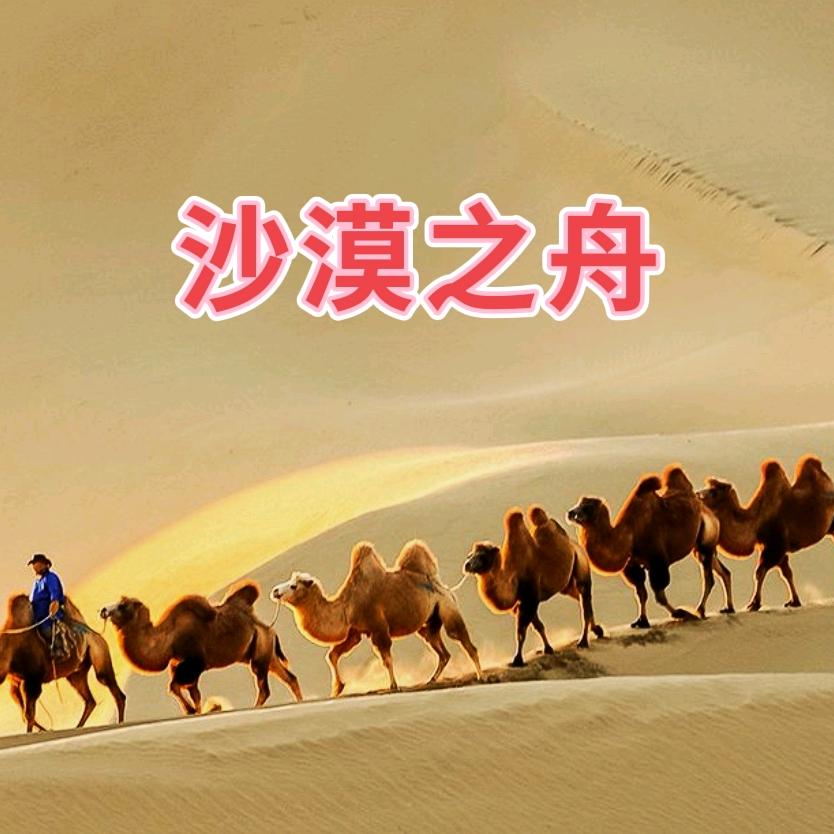 沙漠之舟