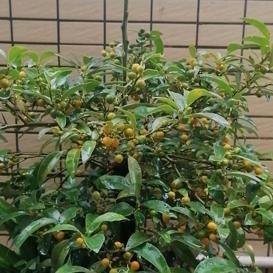 代号：026后勤仓库