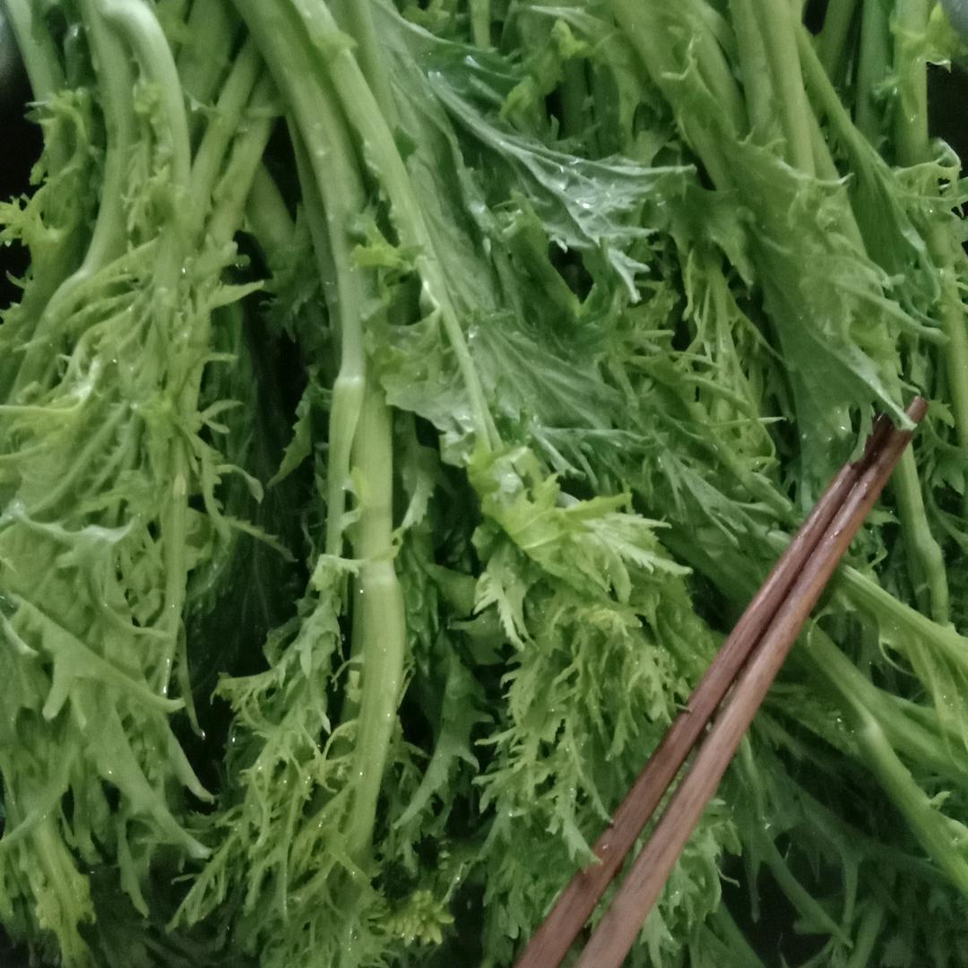 苦已乐穷已乐
