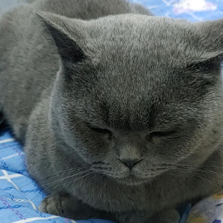 🌈讲笑话