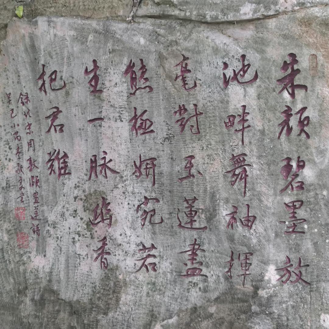 天涯666