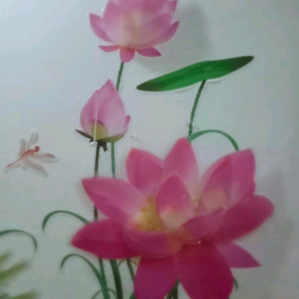 玥儿，雅，鋆抱成团