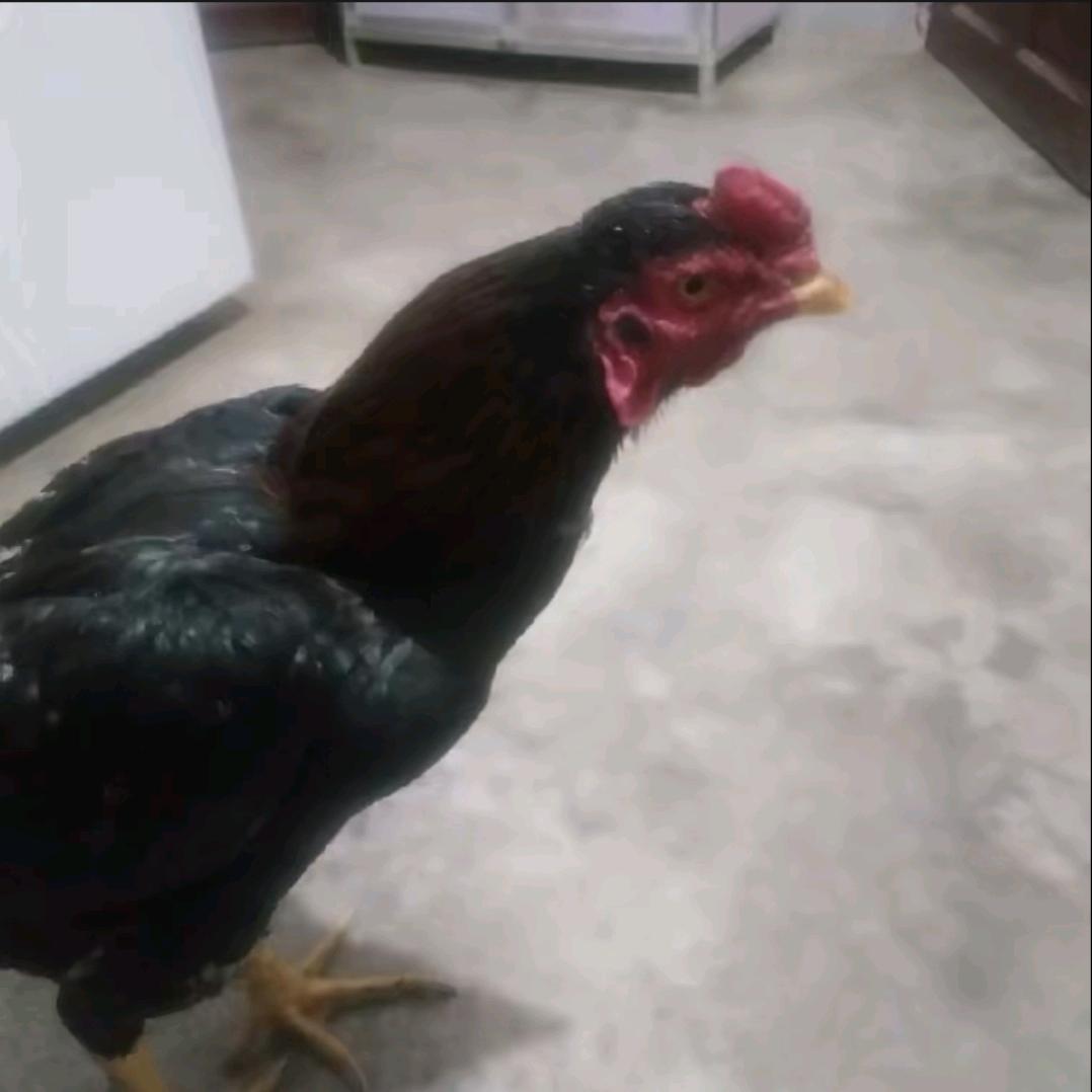 缘分管理员