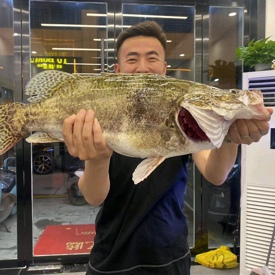 阿布