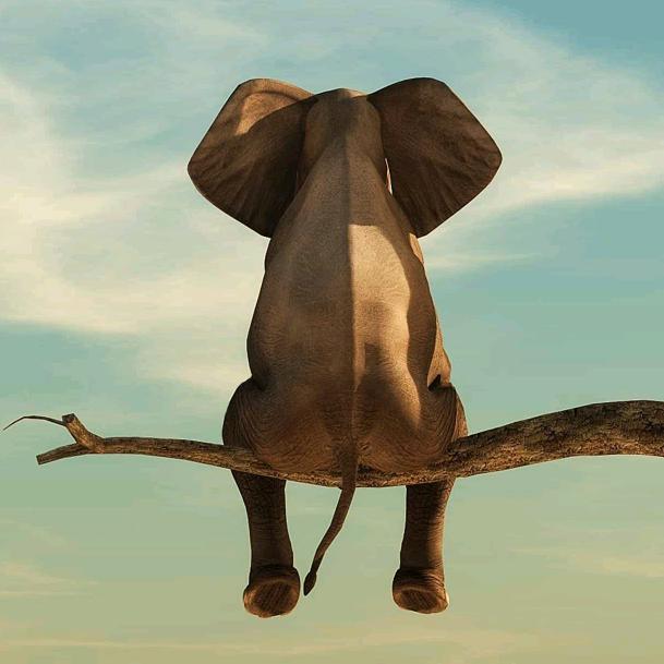 丢方向的我🙈🙈🙈🙈🙈🙉🙉?