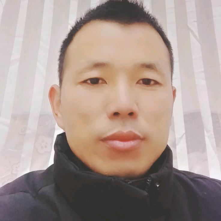 *雪中飞*