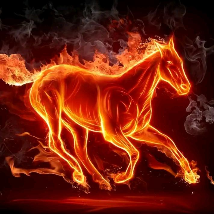 为生活每一天奋斗加油！