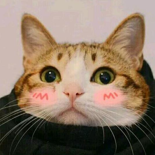 好运降琳🐰🐟