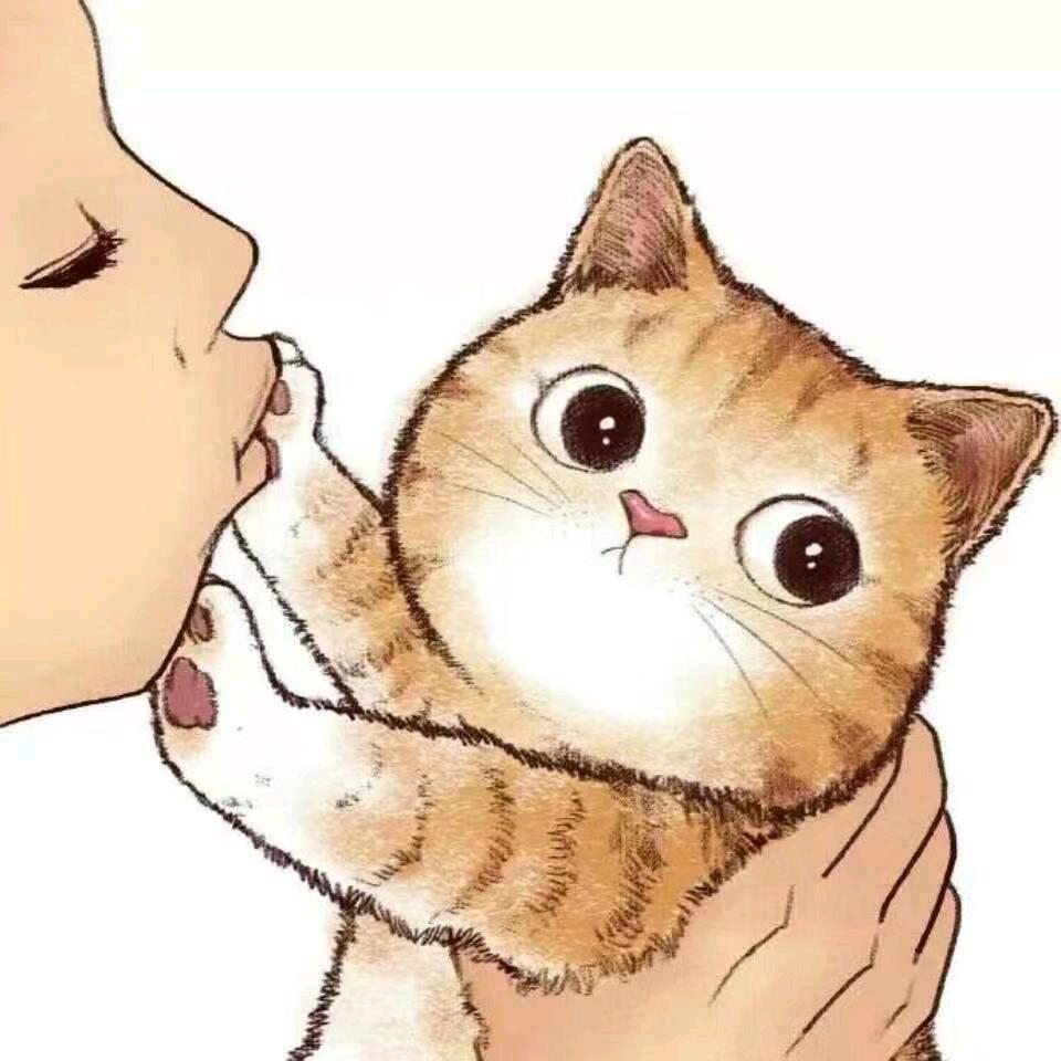 卢