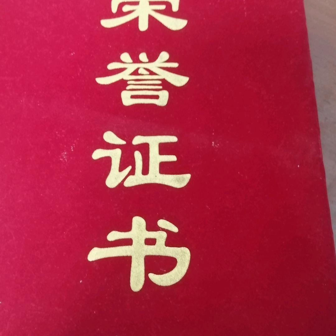 龙哥
