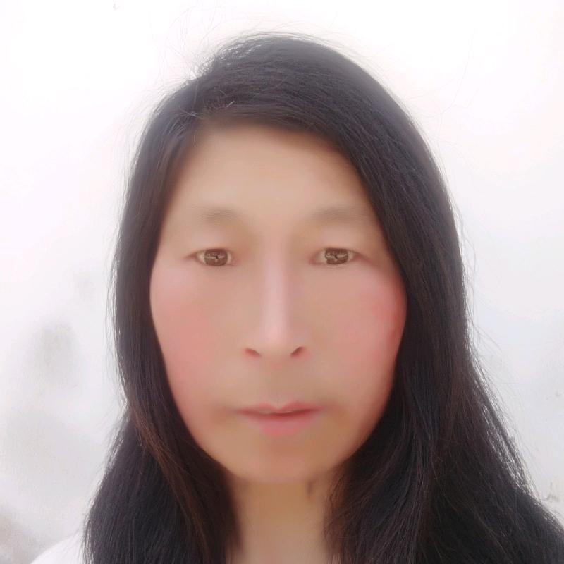 凤姐