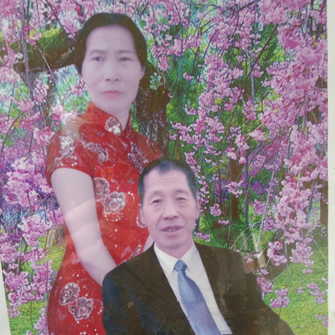 卢军政