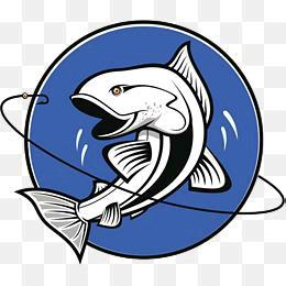 大田湾垂钓中心放鱼专用号