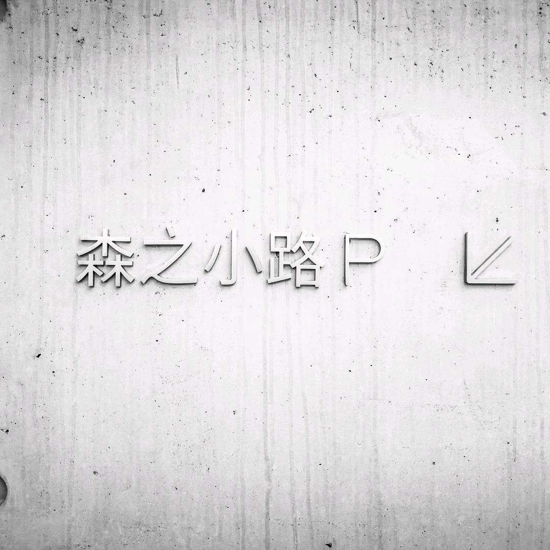 蚂蚁斩首