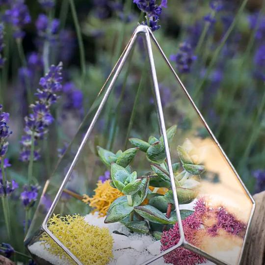 半堤薛庄东头诚外城家