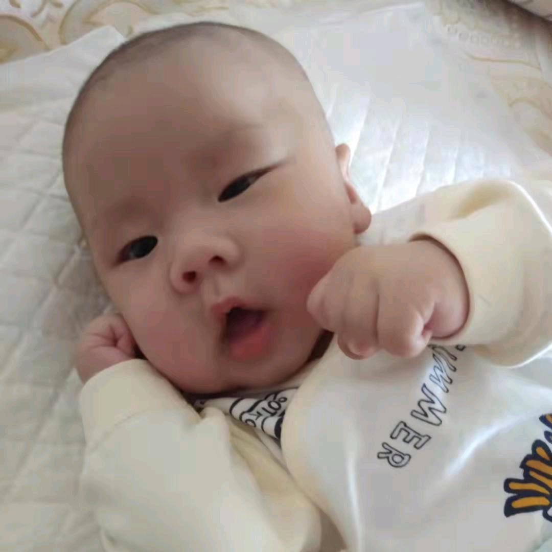 蓝眼泪