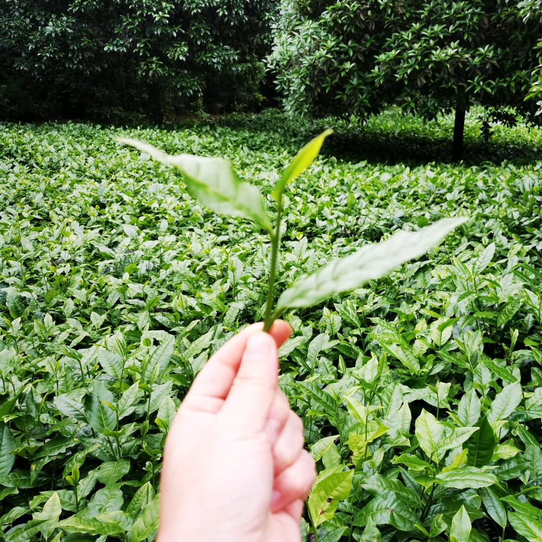 一路心情