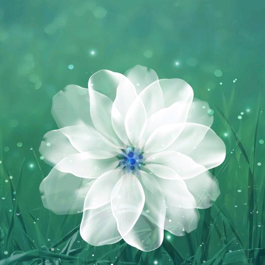 虾混