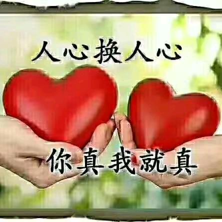 郧西纯炭火烤玉米，香甜可口，来北街公
