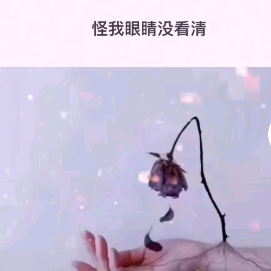 羽田