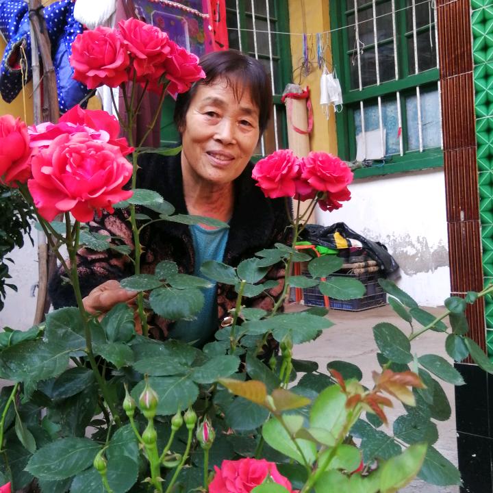 芳芳妈山西运城
