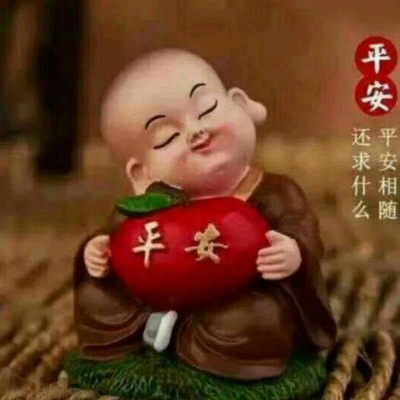 ꧁༺๑开心的石头๑༻꧂