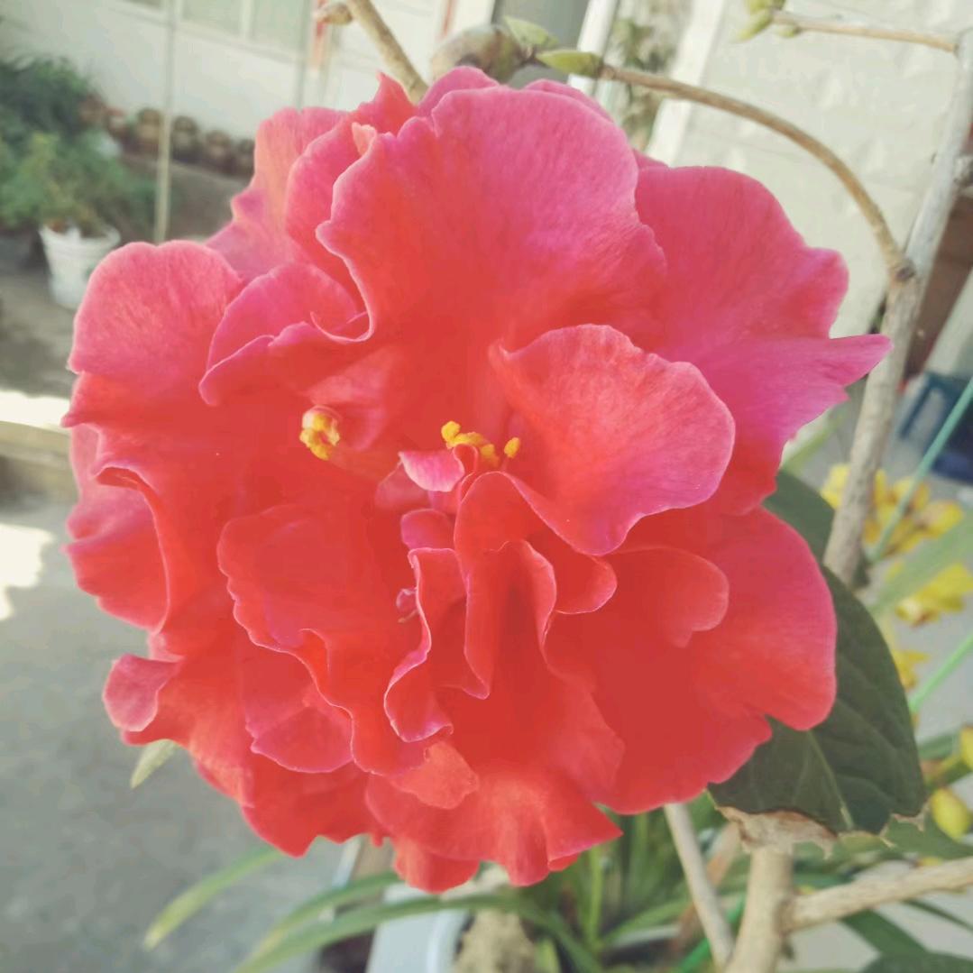 ♥快乐每一天*^_^*