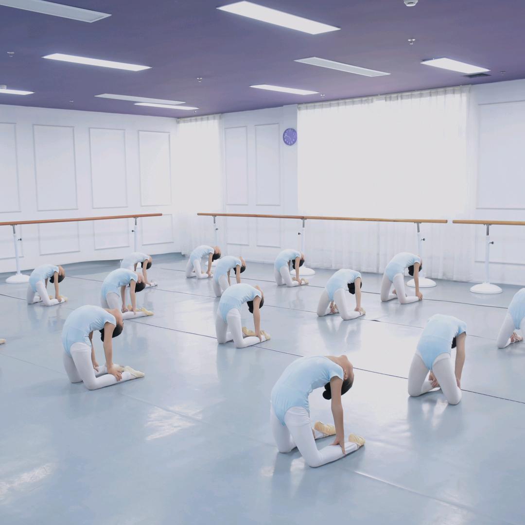 戴爱莲文化艺术中心(嘉华校区)专用号