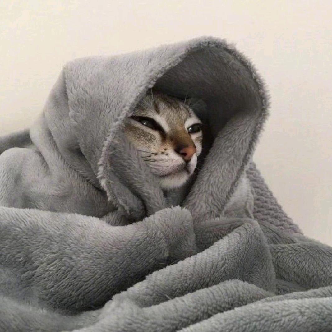 下雨了吗