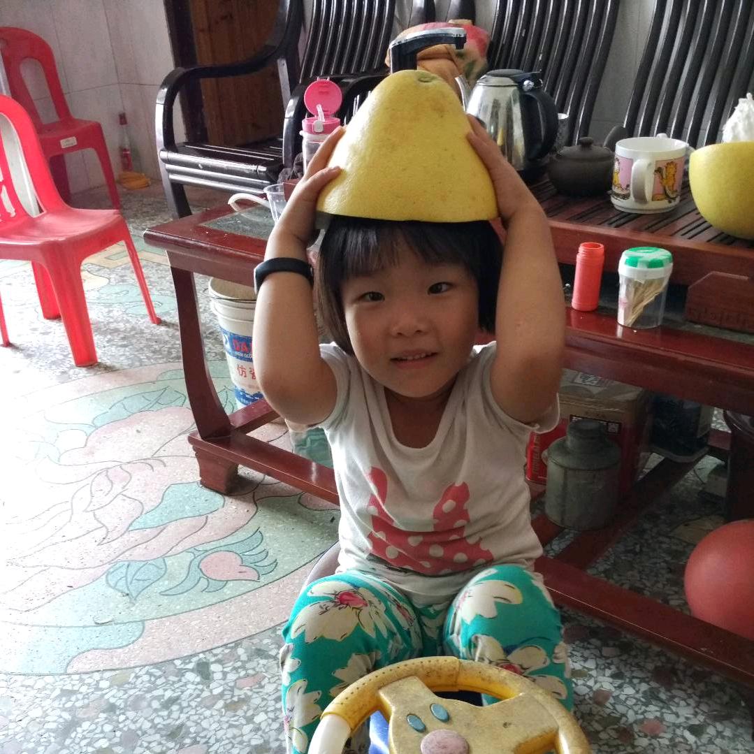 风起落叶