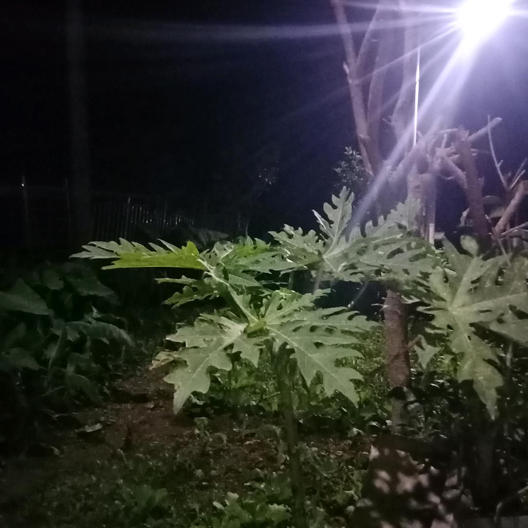 要开心幸福