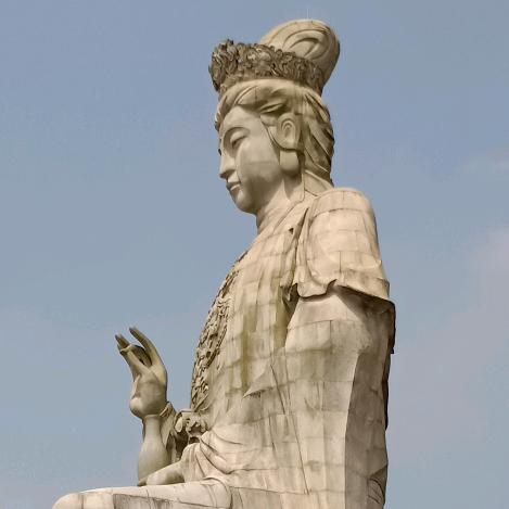 身不由己（蕲春伢）