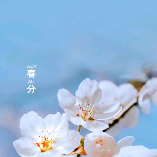 钟意