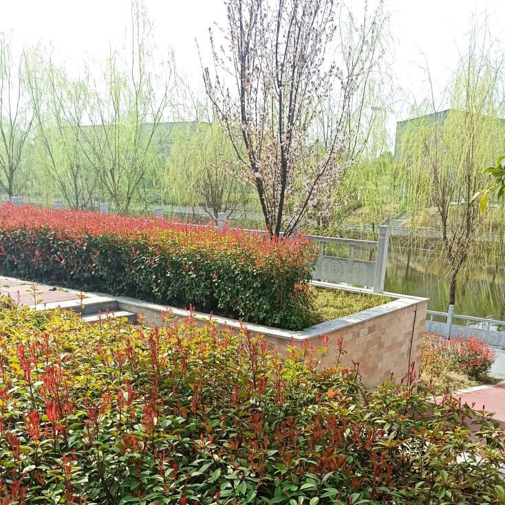 废品回收-各种旧家电