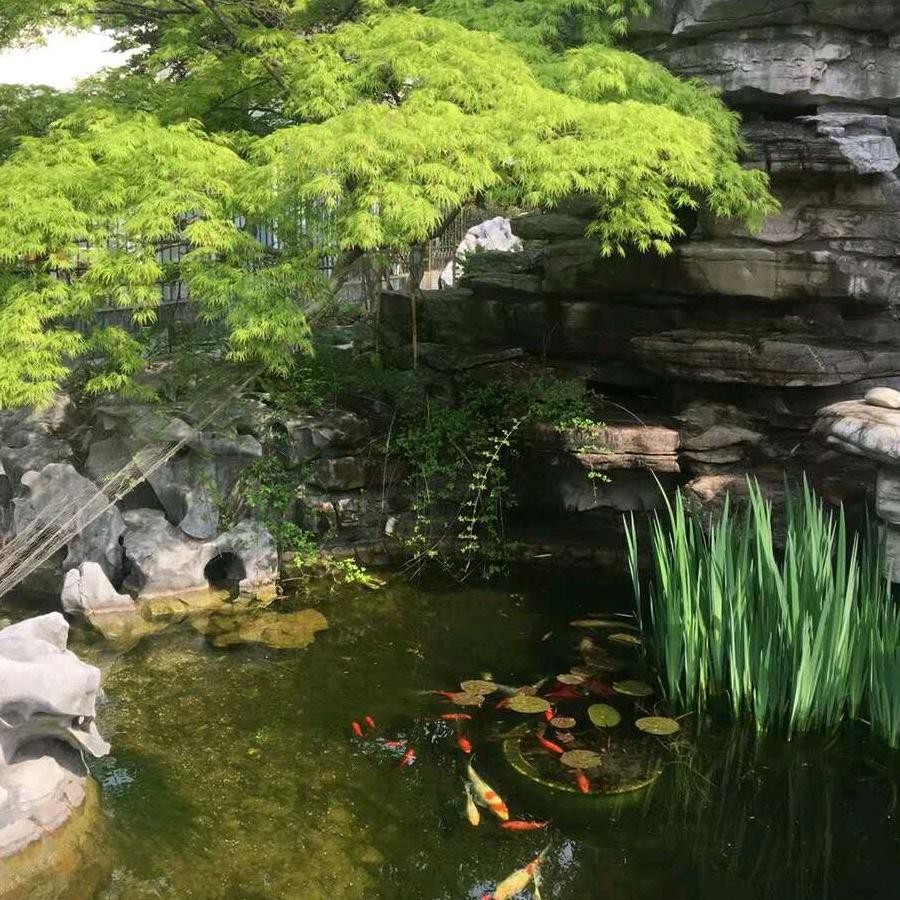 大王